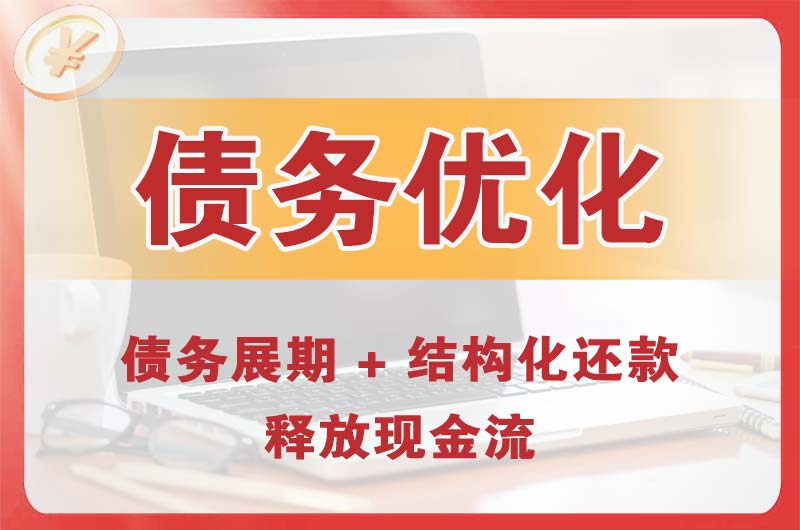 高陵债务优化