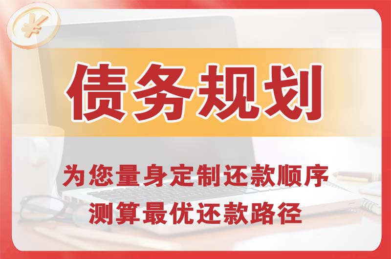高陵债务规划